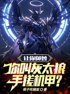 秦莫主人公
