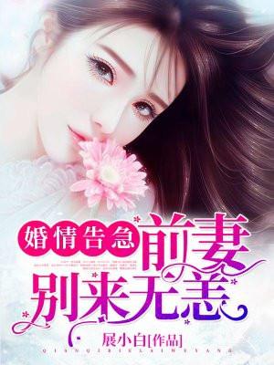婚情告急前妻别来无恙