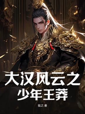 大汉风云5
