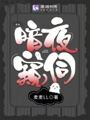 暗夜 x
