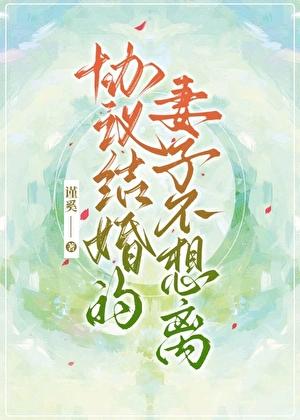 协议结婚的妻子不想离GL