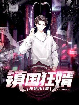 镇国狂婿战神