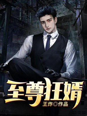 至尊狂婿梦飞