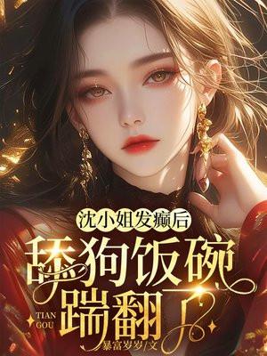 沈小姐是什么电视剧