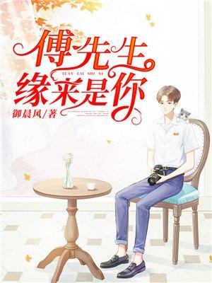傅先生别来无恙全文免费阅读揽月