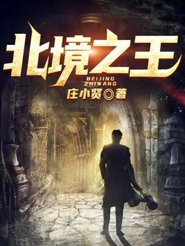 北境之王凌皓