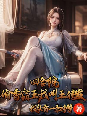 四合院偷香窃玉
