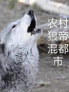农村小子混都市