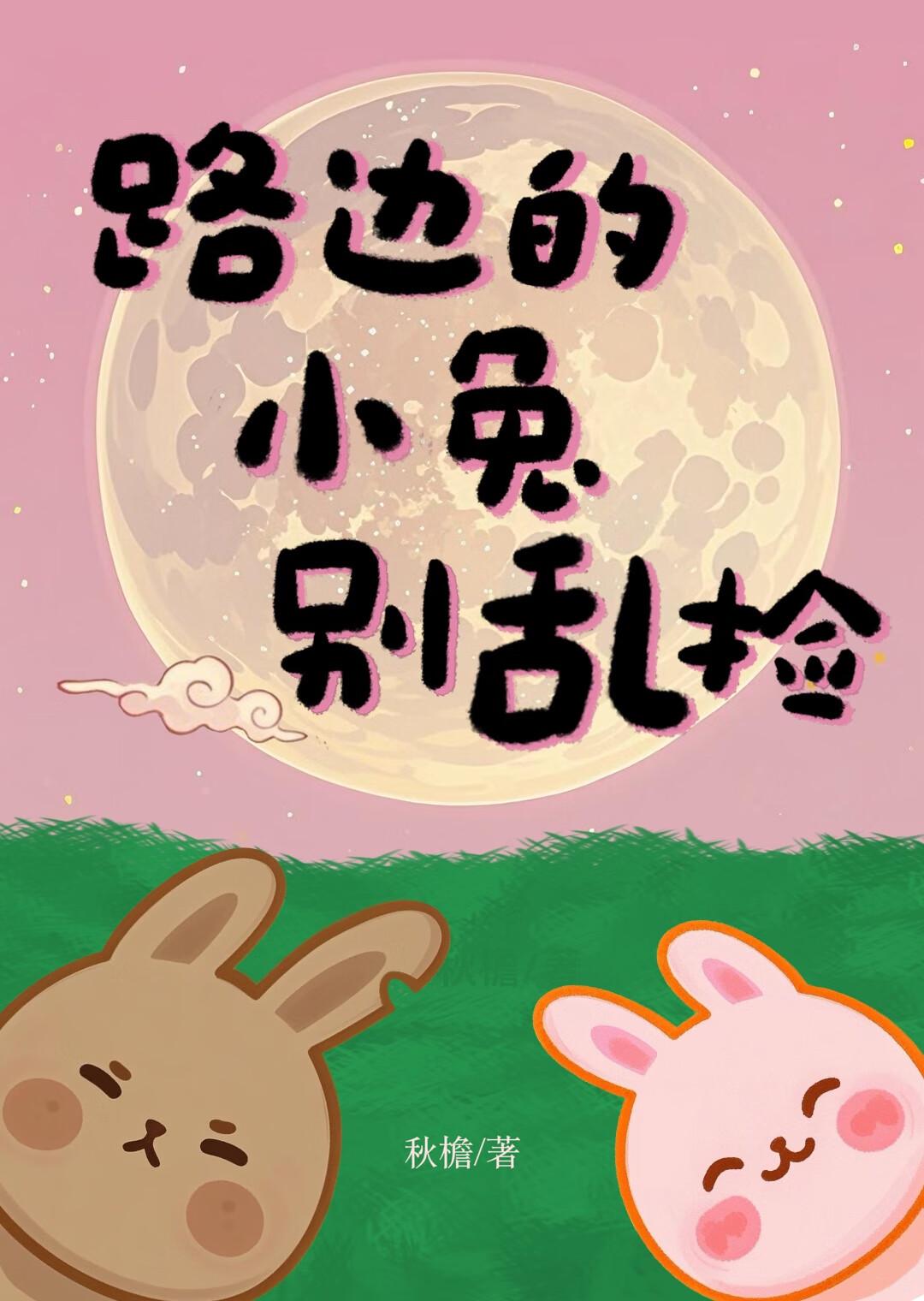 银魂跟野兔打是哪一集