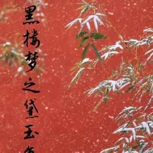 黑楼梦之黛玉复仇记在线观看
