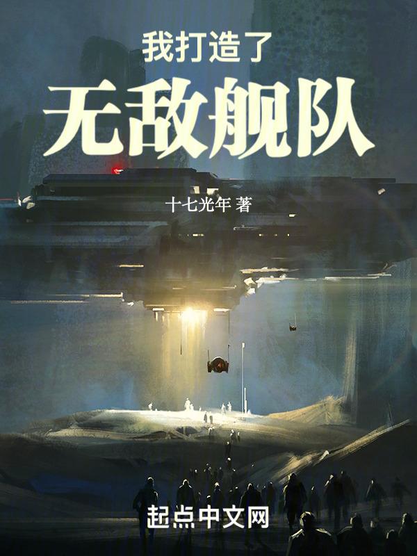 我打造了无敌舰队校对