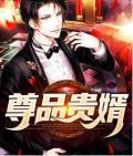 尊品贵婿最新章节全文免费阅读