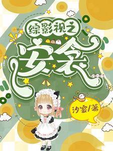 综影视之安雪