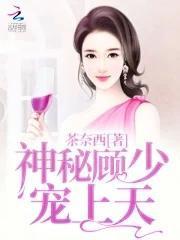 神秘顾少掌中宝免费阅读