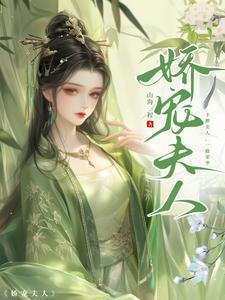 娇宠夫人TXT百度资源