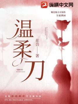 温柔刀讲的什么