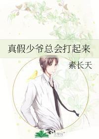 真假少爷在一起的