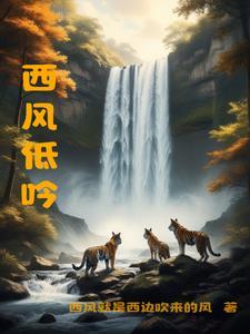 西风何意
