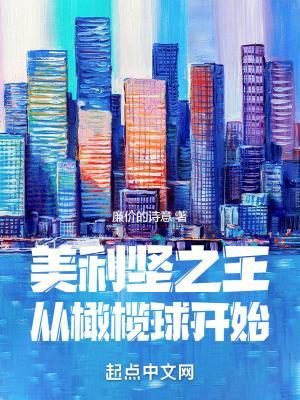 美利坚纵享人生