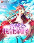 海贼我能无限升级