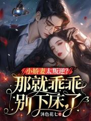 男主封凌夜女主许晚晴