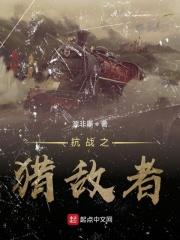 抗战之猎鹰突击队