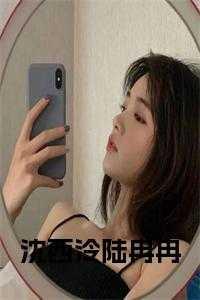陆冉冉沈元铮