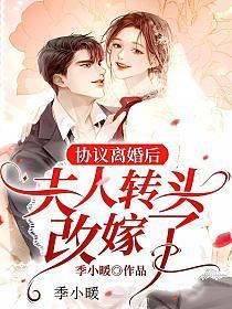 协议离婚后夫人转头改嫁了听书
