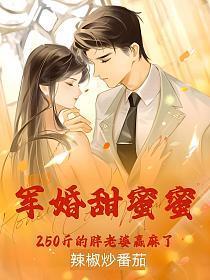 军婚胖媳妇