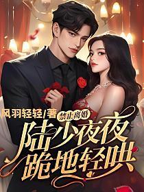 禁止离婚!陆少夜夜跪地轻哄应