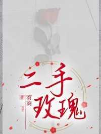 二手玫瑰经典十首歌