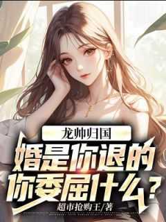 龙帅归国婚是你退的你委屈什么完整