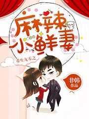 重生九零之麻辣小医妻