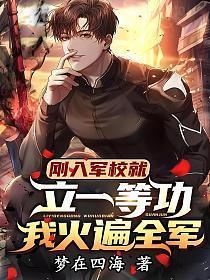 我火遍全军txt