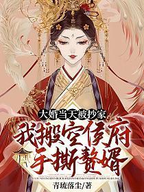 大婚当天被抄家?我搬空侯府手撕赘婿 青琉落尘作品