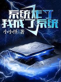 我成了系统叶天