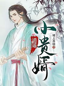 逍遥小贵婿人物简介全部