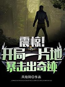 震惊开局一片地暴击出奇迹TXT(风轻阳)