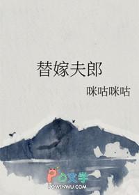 替嫁假夫郎携手余生书评