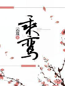 乘鸾男主的真实身份