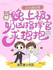 白天被逃婚晚上被奶凶指挥官求抱抱全文TXT