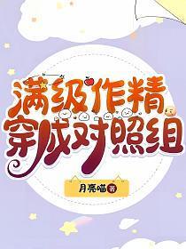 满级作精穿成对照组免费阅读TXT