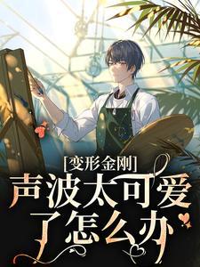 声波清理大师