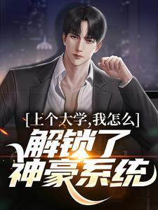 主人林辰