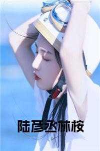 男主名字叫陆彦辰的