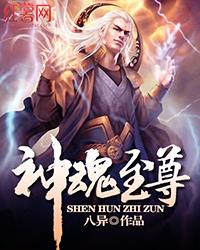 神魂至尊txt