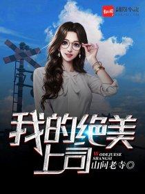 我的绝美上司完整