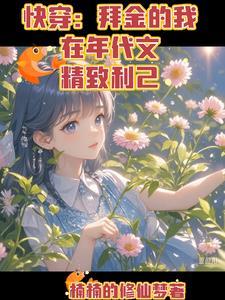 拜金女快穿系统