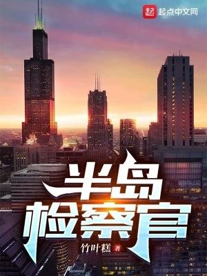 半岛检察官演员表