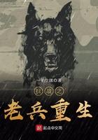 抗战之老兵重生 一笔尘缘